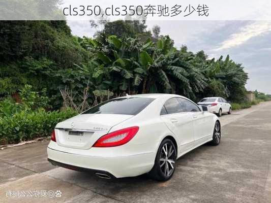 cls350,cls350奔驰多少钱