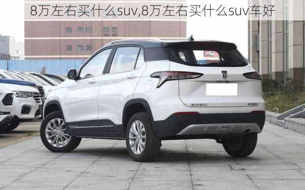 8万左右买什么suv,8万左右买什么suv车好