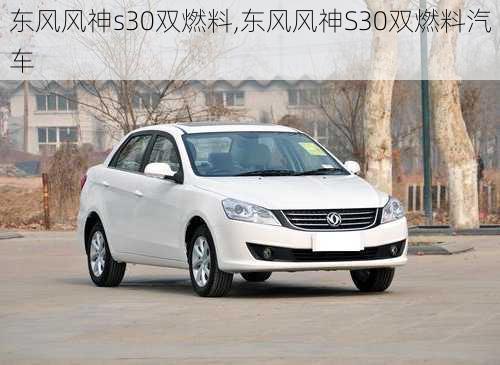 东风风神s30双燃料,东风风神S30双燃料汽车