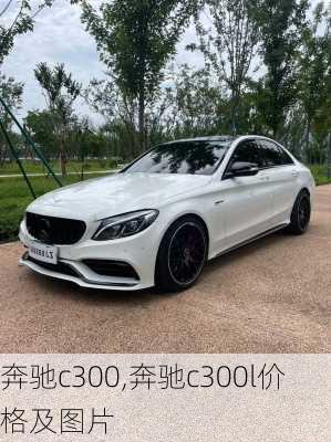 奔驰c300,奔驰c300l价格及图片