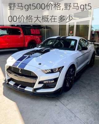 野马gt500价格,野马gt500价格大概在多少