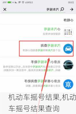 机动车摇号结果,机动车摇号结果查询