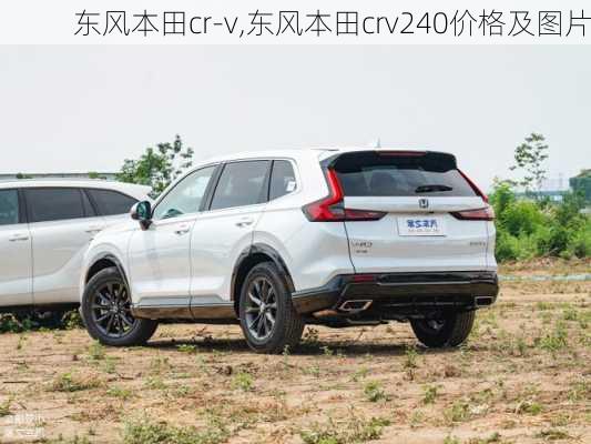 东风本田cr-v,东风本田crv240价格及图片