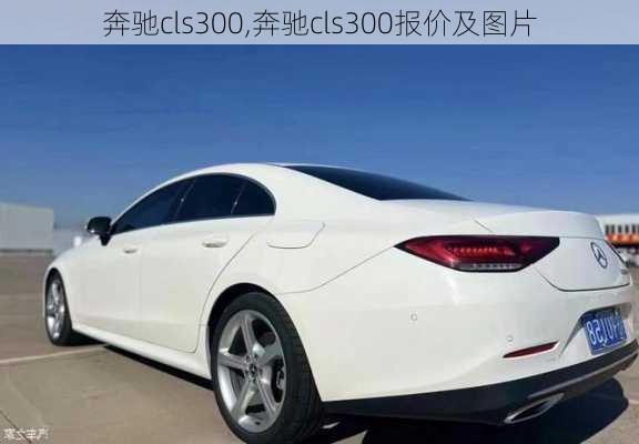 奔驰cls300,奔驰cls300报价及图片