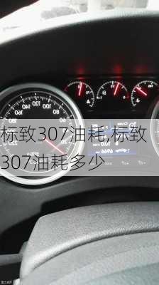 标致307油耗,标致307油耗多少