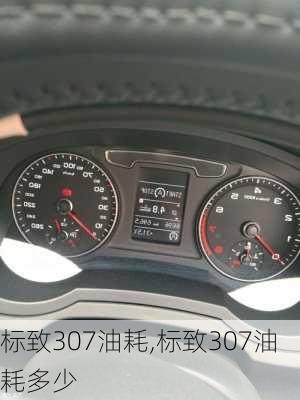 标致307油耗,标致307油耗多少