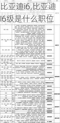 比亚迪i6,比亚迪I6级是什么职位