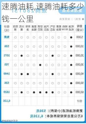 速腾油耗,速腾油耗多少钱一公里