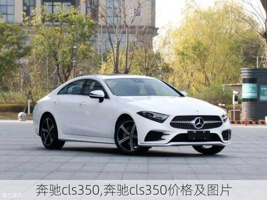 奔驰cls350,奔驰cls350价格及图片