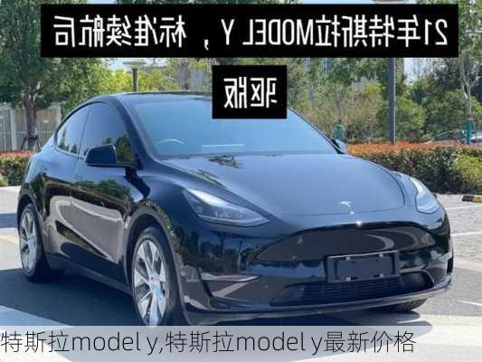 特斯拉model y,特斯拉model y最新价格