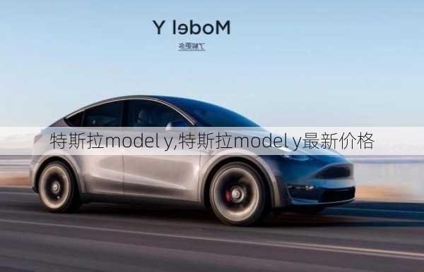 特斯拉model y,特斯拉model y最新价格