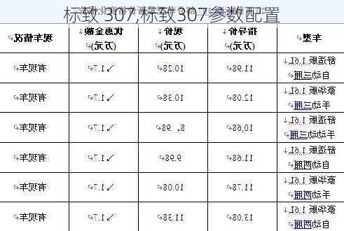 标致 307,标致307参数配置