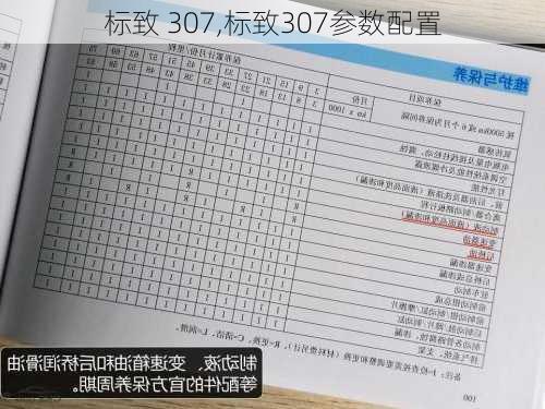 标致 307,标致307参数配置