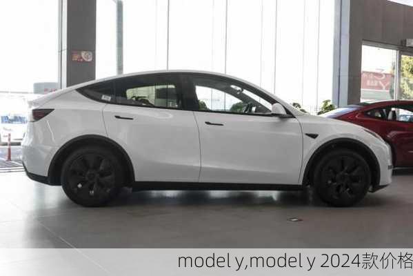 model y,model y 2024款价格