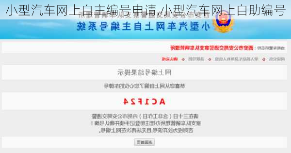 小型汽车网上自主编号申请,小型汽车网上自助编号