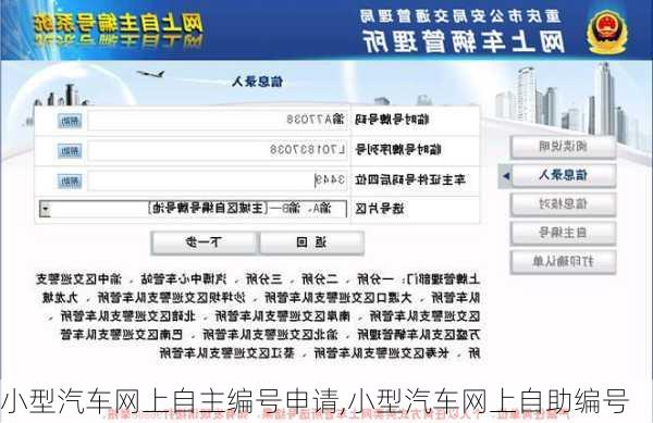 小型汽车网上自主编号申请,小型汽车网上自助编号