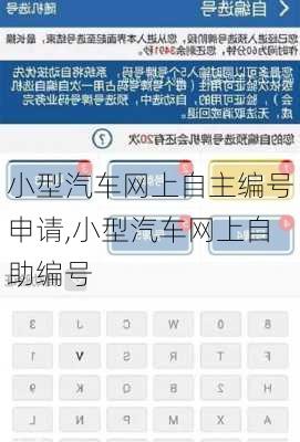 小型汽车网上自主编号申请,小型汽车网上自助编号