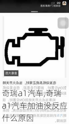 奇瑞a1汽车,奇瑞a1汽车加油没反应什么原因