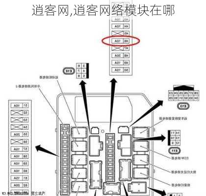 逍客网,逍客网络模块在哪