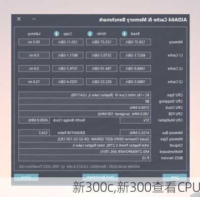 新300c,新300查看CPU