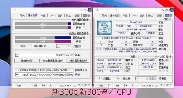 新300c,新300查看CPU