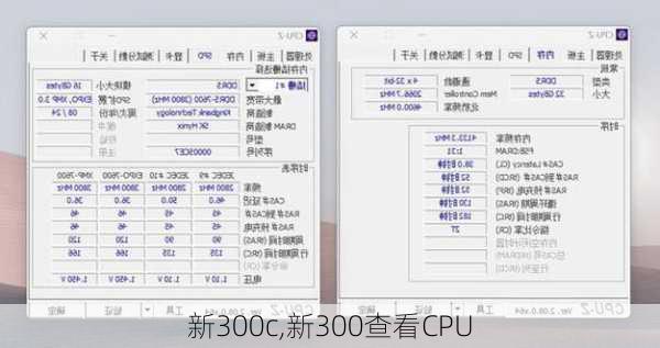 新300c,新300查看CPU