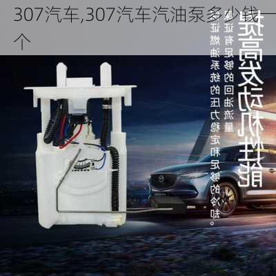 307汽车,307汽车汽油泵多少钱一个