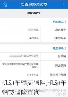 机动车辆交强险,机动车辆交强险查询
