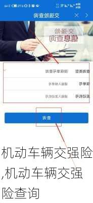 机动车辆交强险,机动车辆交强险查询