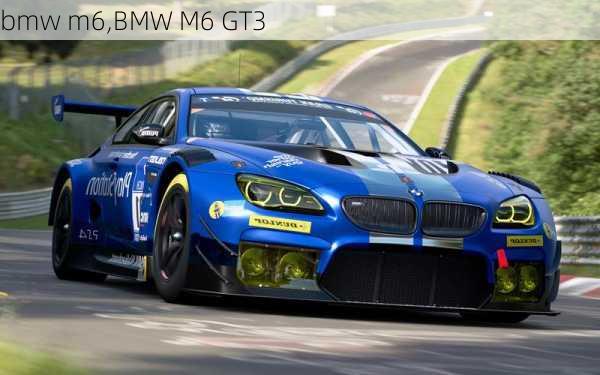 bmw m6,BMW M6 GT3