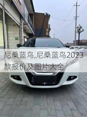 尼桑蓝鸟,尼桑蓝鸟2023款报价及图片大全