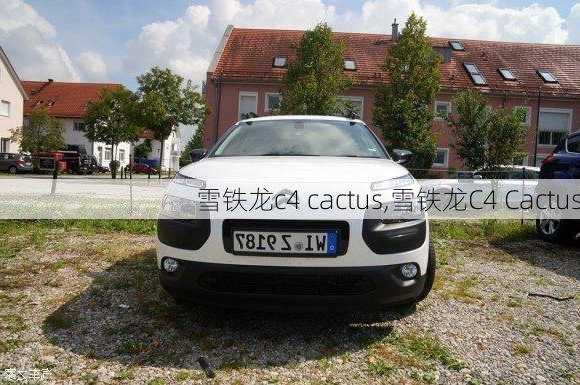 雪铁龙c4 cactus,雪铁龙C4 Cactus