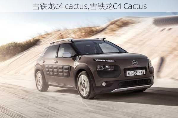 雪铁龙c4 cactus,雪铁龙C4 Cactus