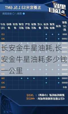 长安金牛星油耗,长安金牛星油耗多少钱一公里