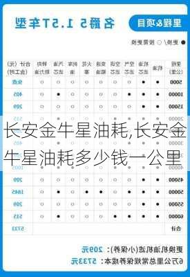 长安金牛星油耗,长安金牛星油耗多少钱一公里