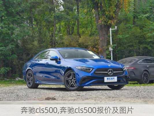 奔驰cls500,奔驰cls500报价及图片