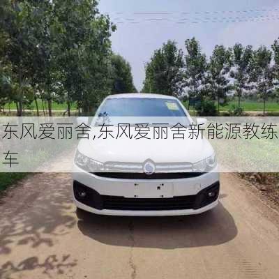 东风爱丽舍,东风爱丽舍新能源教练车