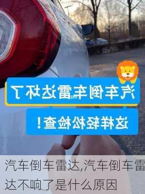 汽车倒车雷达,汽车倒车雷达不响了是什么原因