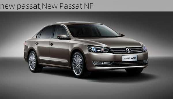 new passat,New Passat NF