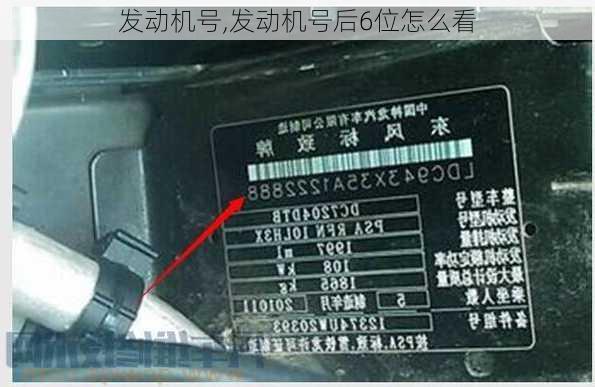 发动机号,发动机号后6位怎么看