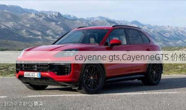 cayenne gts,CayenneGTS 价格