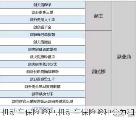 机动车保险险种,机动车保险险种分为和