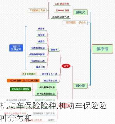 机动车保险险种,机动车保险险种分为和