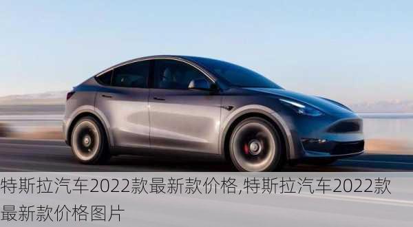 特斯拉汽车2022款最新款价格,特斯拉汽车2022款最新款价格图片