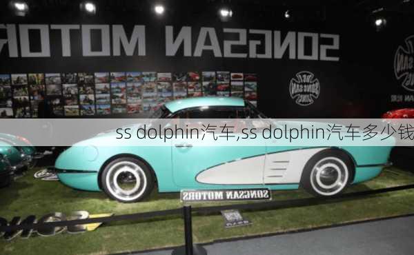 ss dolphin汽车,ss dolphin汽车多少钱