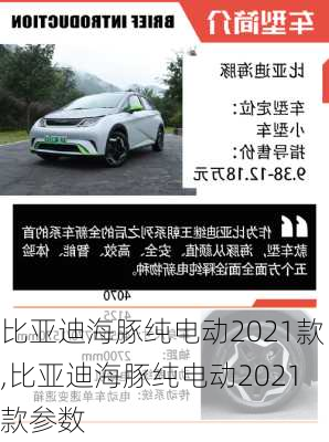 比亚迪海豚纯电动2021款,比亚迪海豚纯电动2021款参数