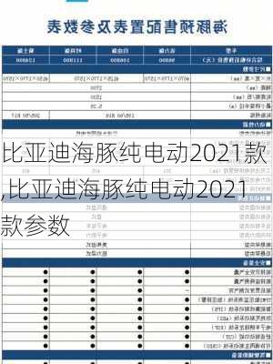 比亚迪海豚纯电动2021款,比亚迪海豚纯电动2021款参数