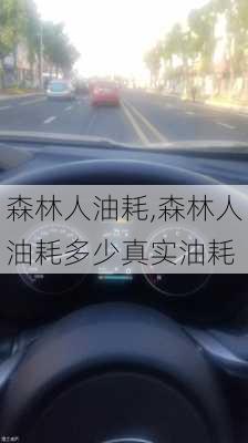 森林人油耗,森林人油耗多少真实油耗