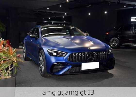 amg gt,amg gt 53