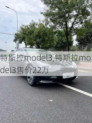 特斯拉model3,特斯拉model3售价22万